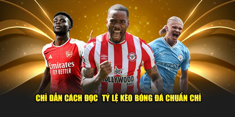 Chỉ dẫn cách đọc  tỷ lệ kèo bóng đá chuẩn chỉ